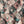 VERT MOSAIQUE