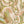 IMPRIME KAKI FLORAL